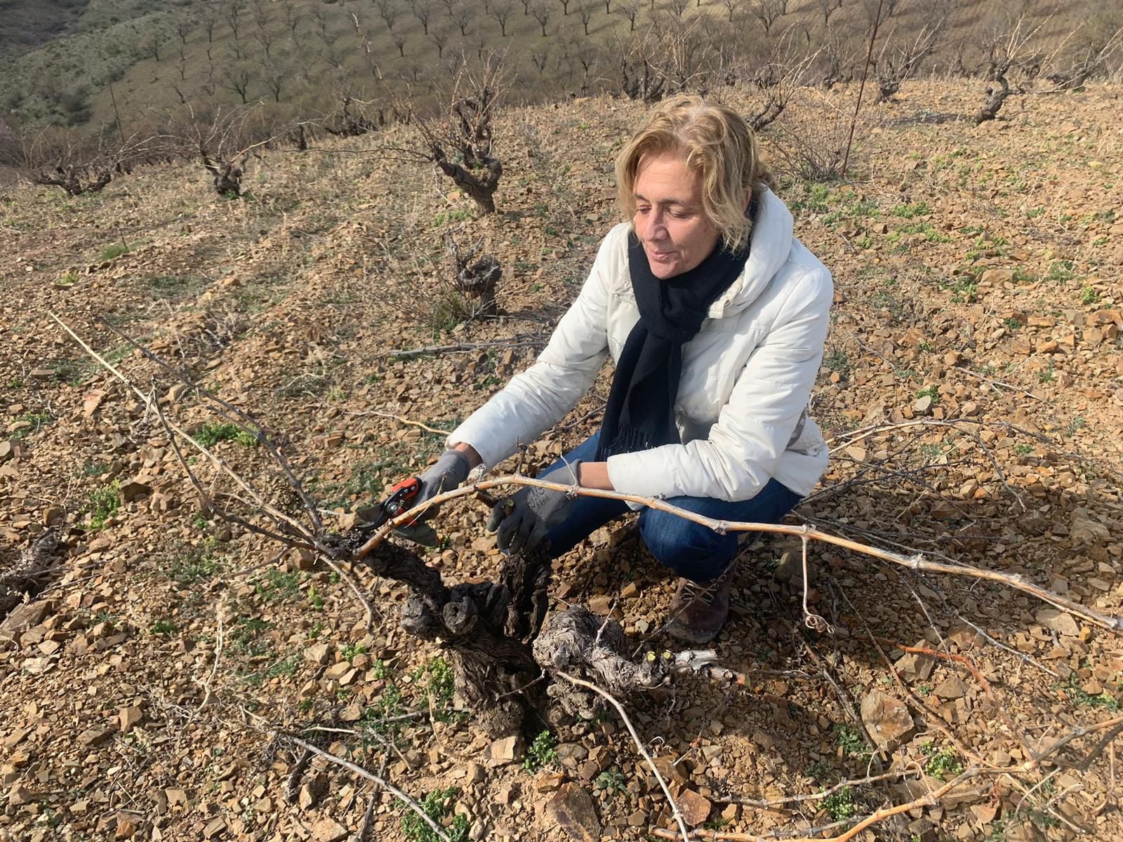 Pilar Baeza, profesora de Viticultura en la Escuela Técnica Superior de Ingeniería Agronómica, Alimentaria y de Biosistemas de la Universidad Politécnica de Madrid.