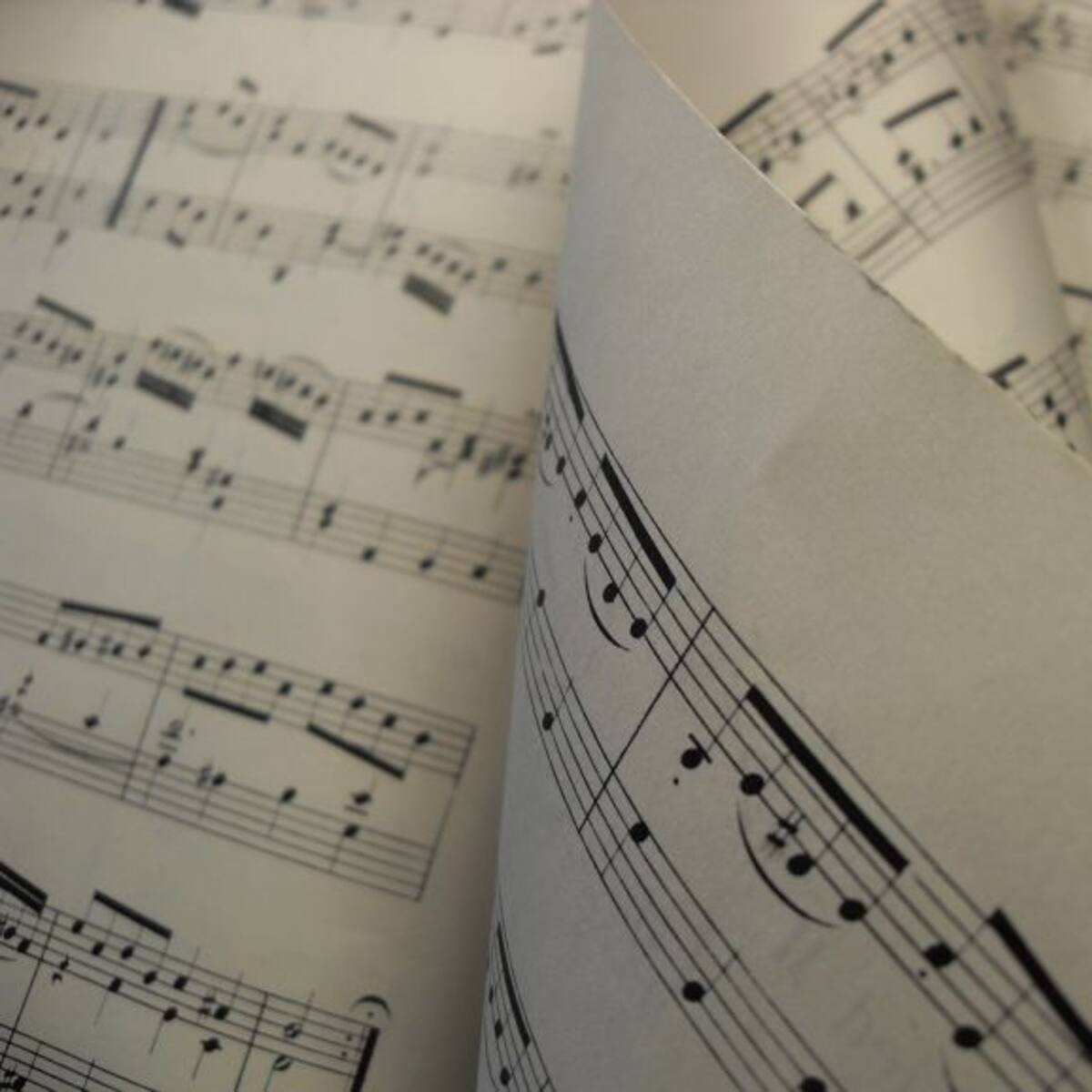 Demuestran que a los músicos les resulta más fácil solucionar problemas cotidianos