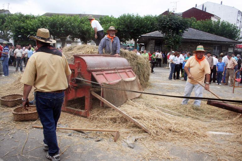 Una edición de la Festa da Malla de Meira