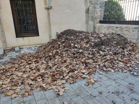 Las hojas que han recogido los vecinos del casco viejo de Vitoria-Gasteiz en el jardín del Palacio Escoriaza-Esquível