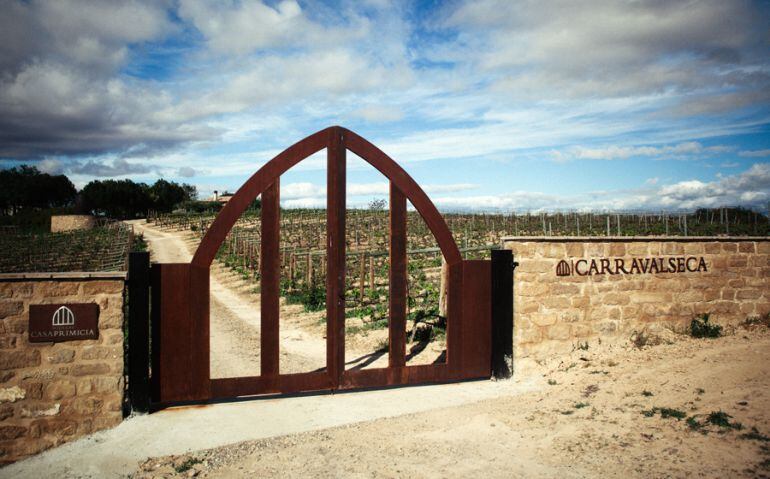 FINCA CARRAVALSECA. BODEGAS CASA PRIMICIA