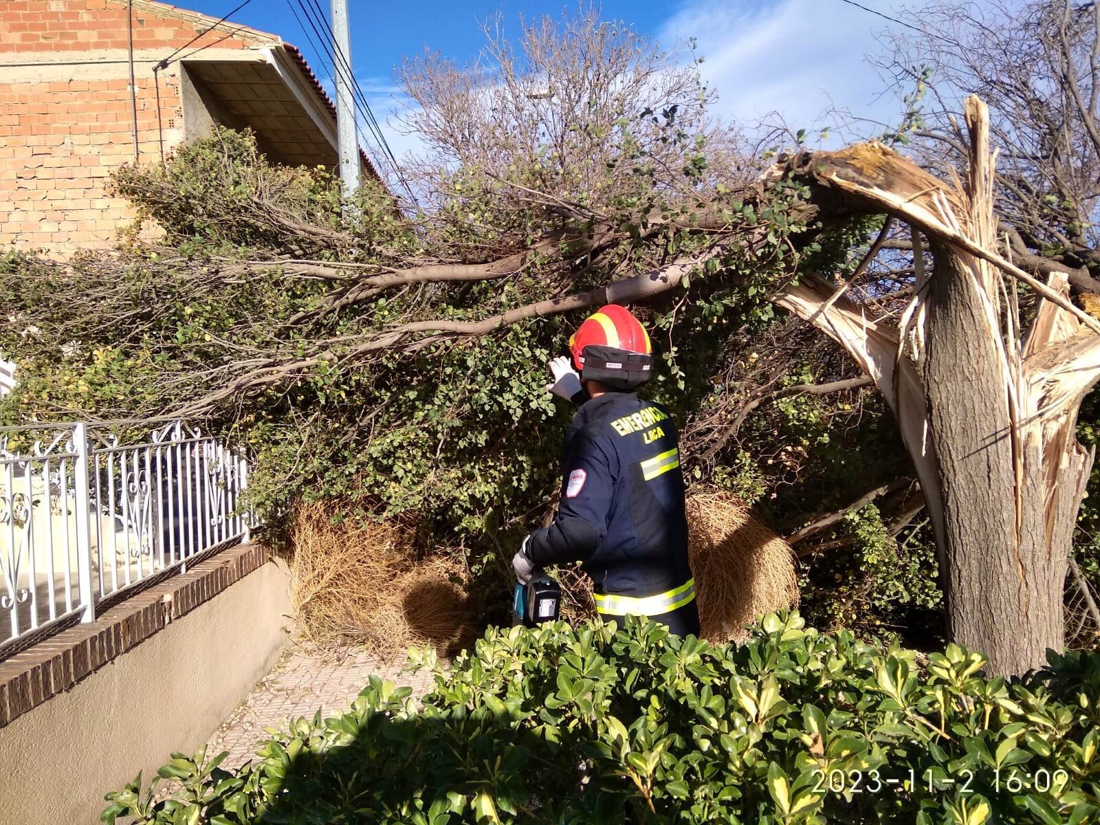 Las fuertes rachas de viento dejó en Lorca casi 40 incidencias.