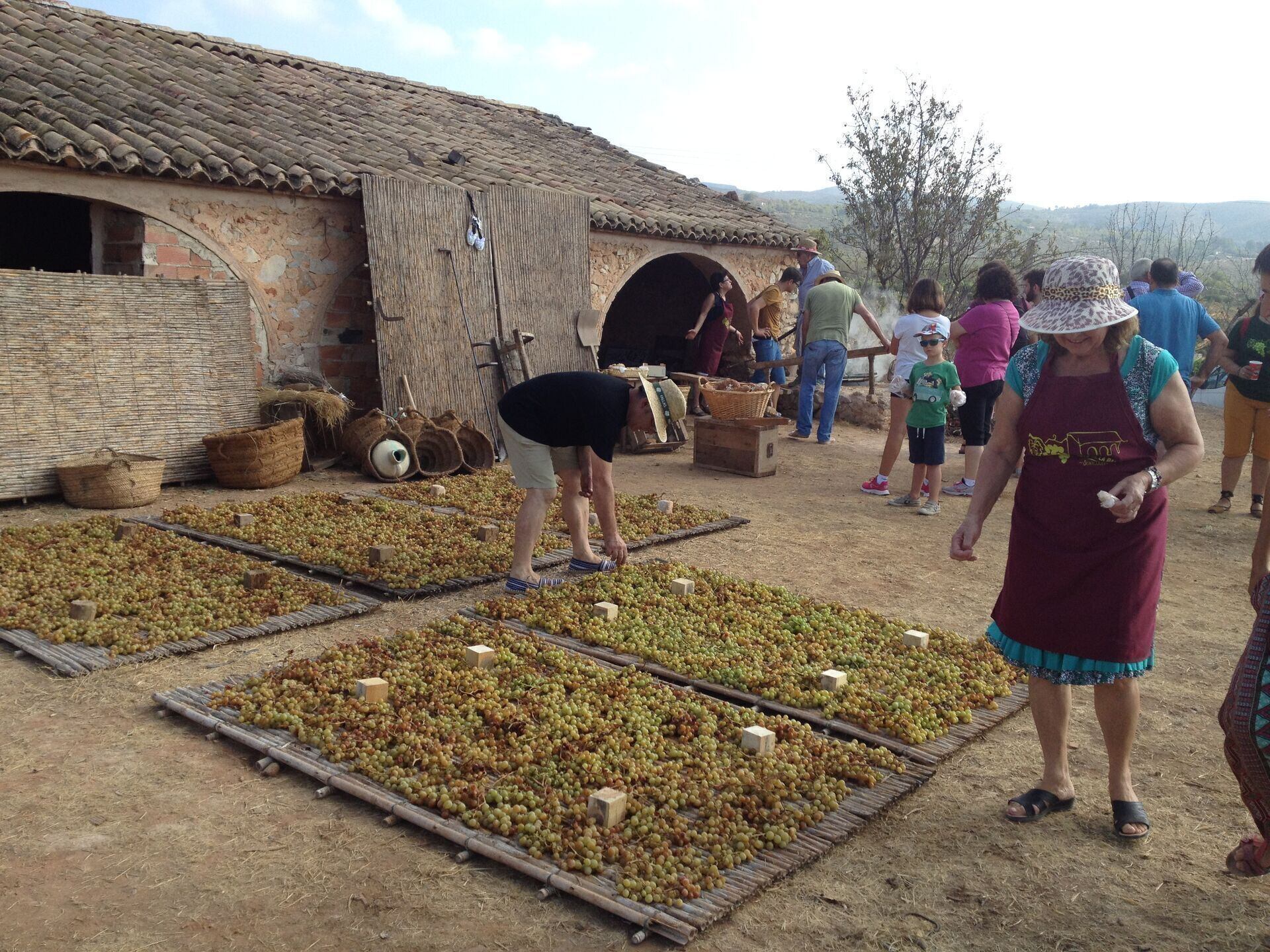 Imatge de la festa de l&#039;escaldà // Foto: Ajuntament de Benicolet