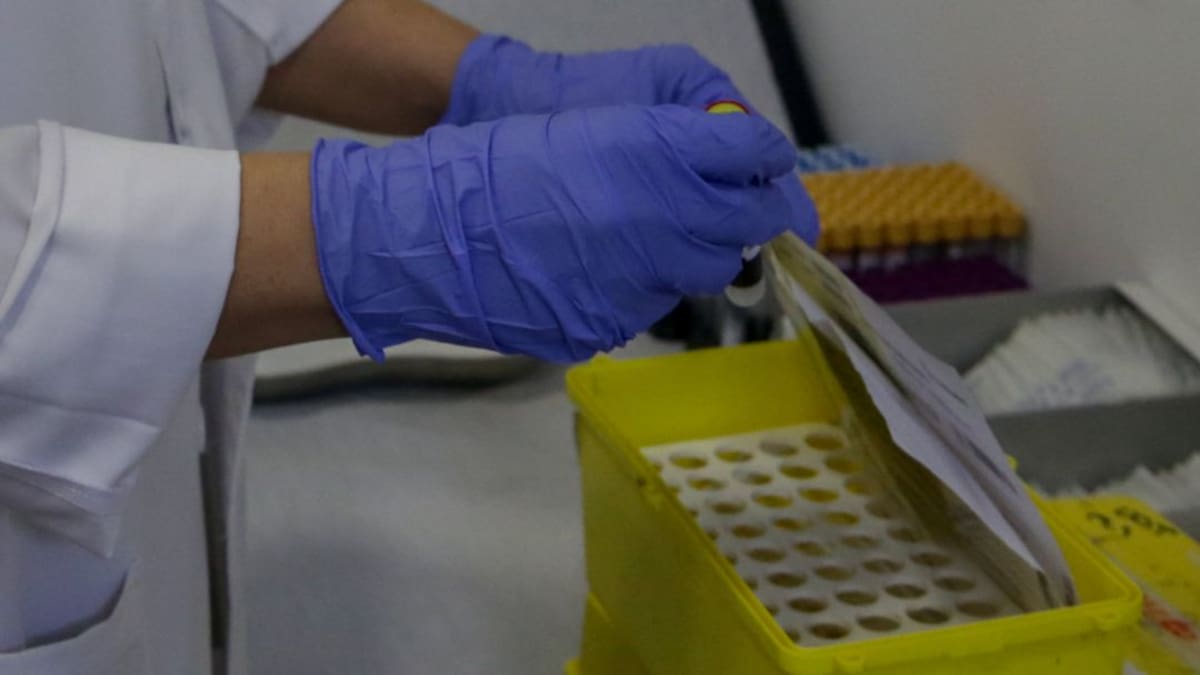 Detectat un cas de grip porcina en un home gran a Lleida