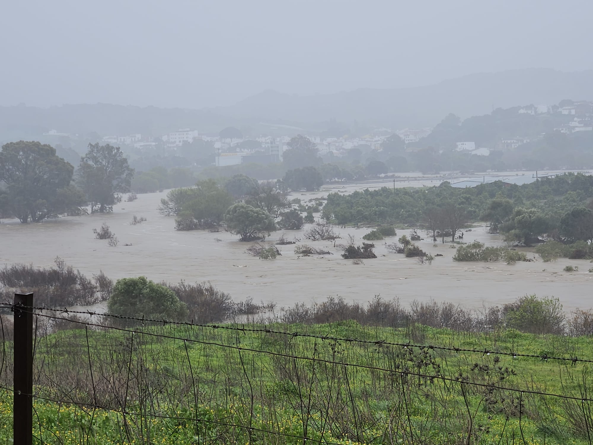 Efectos del temporal en Jimena.