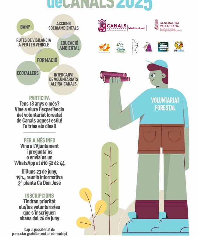 Cartel del voluntariado