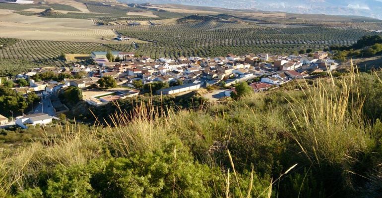 Vista de Larva.