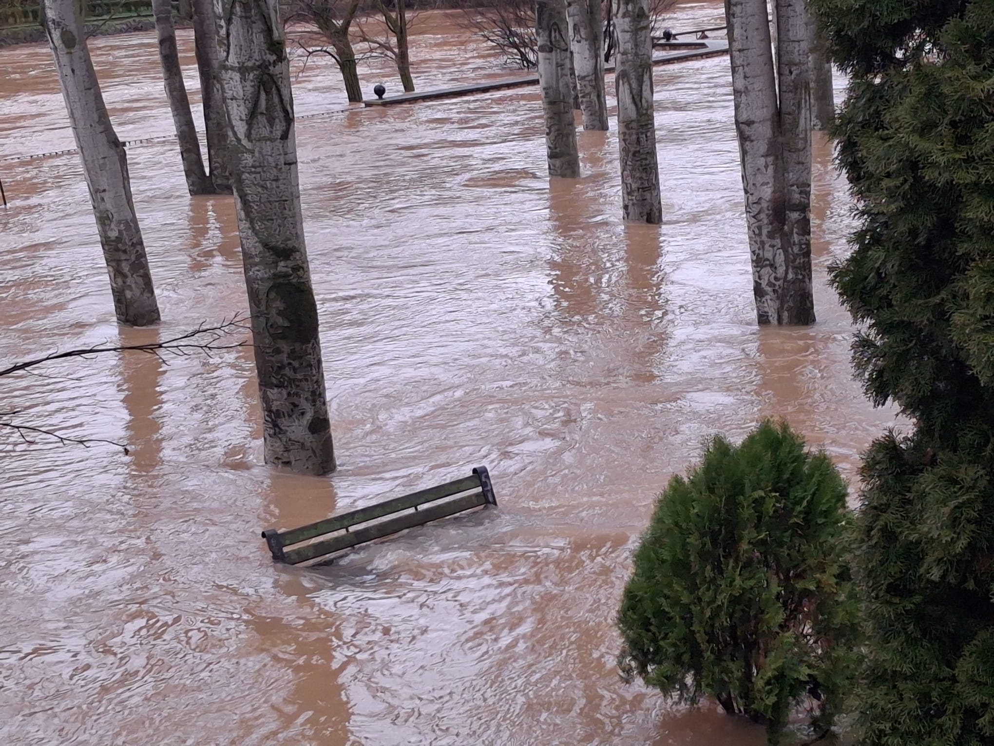 Estado de una de las orillas del Duero este lunes a su paso por Aranda