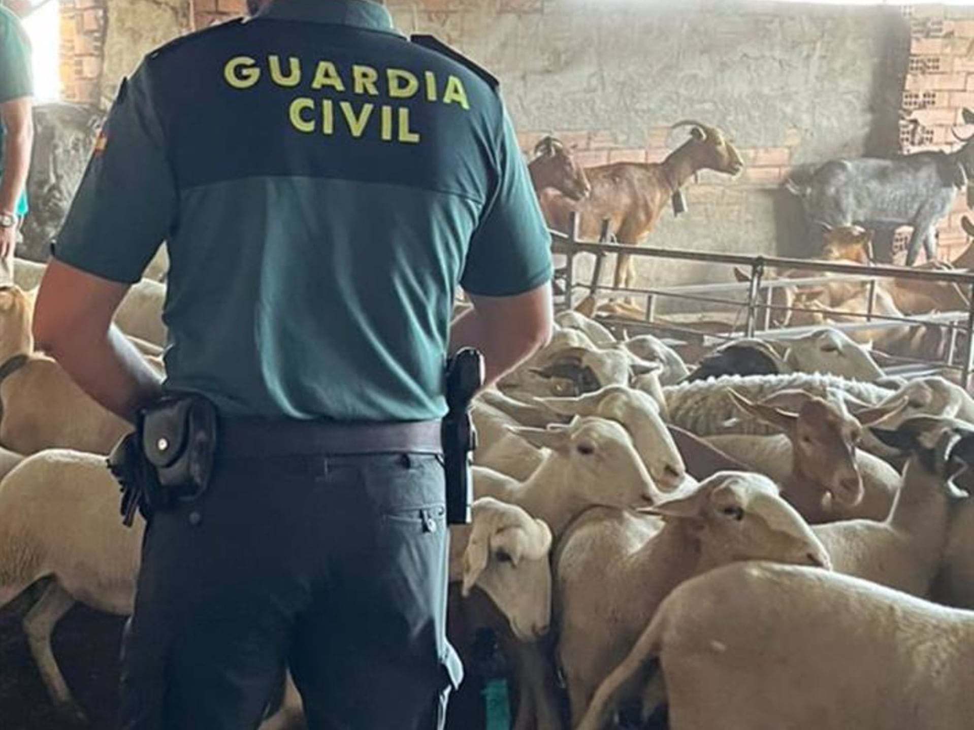 Agente de la Guardia Civil en la operación &#039;Aries&#039;