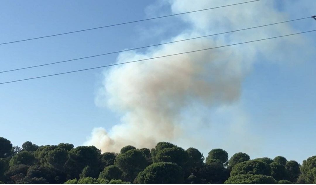 Columna de humo del incendio de Villaviciosa