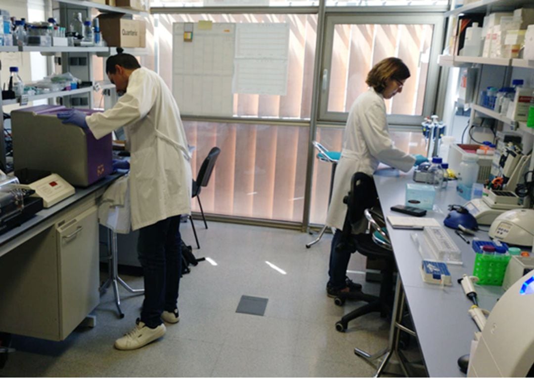 Dos de los trabajadores de los laboratorios de la biotecnológica Destina Genomics en plena labor en sus instalaciones del Parque Tecnológico de la Salud (PTS) de Granada