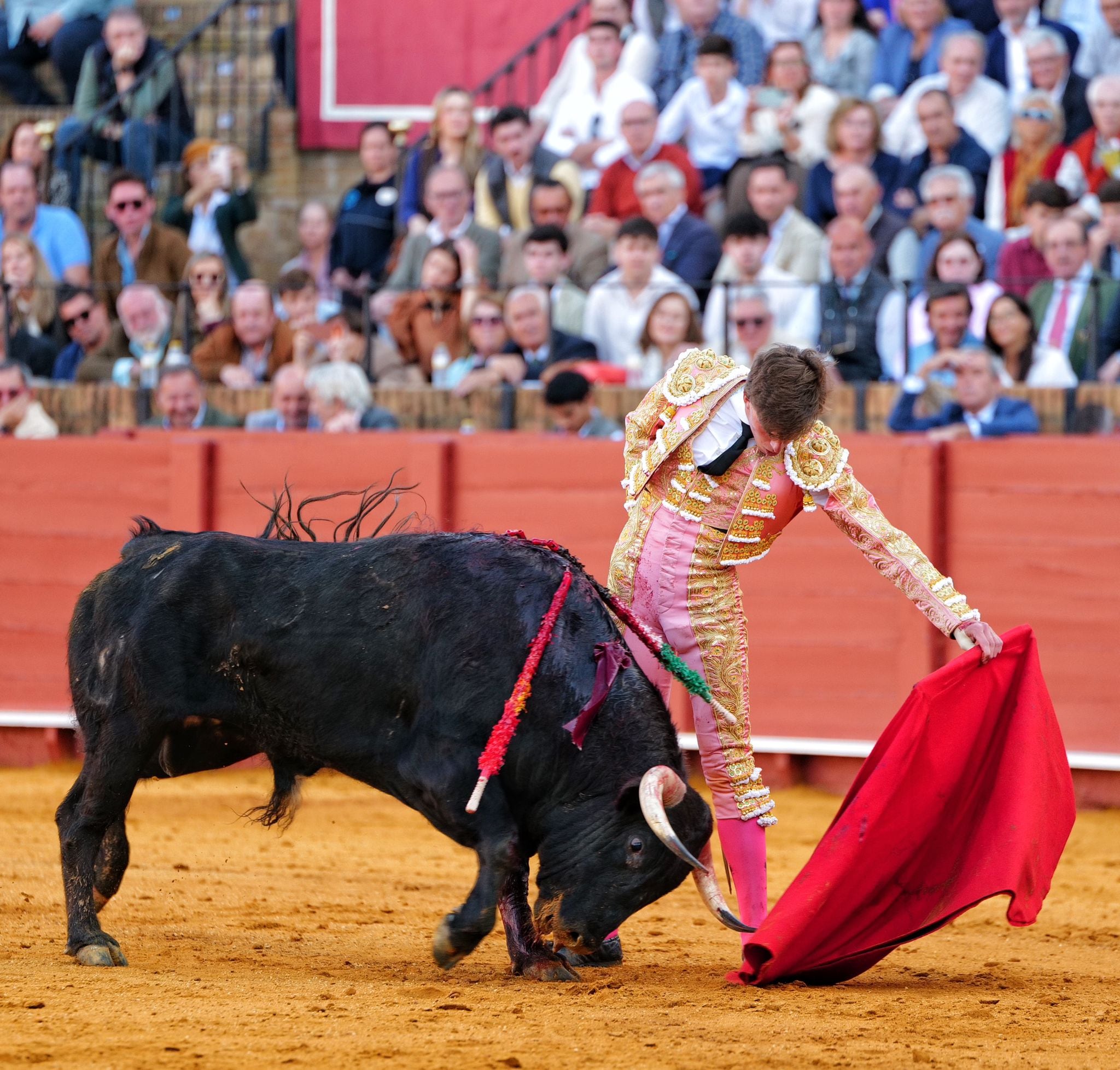 Buen natural de Julio Norte al primero de su lote
