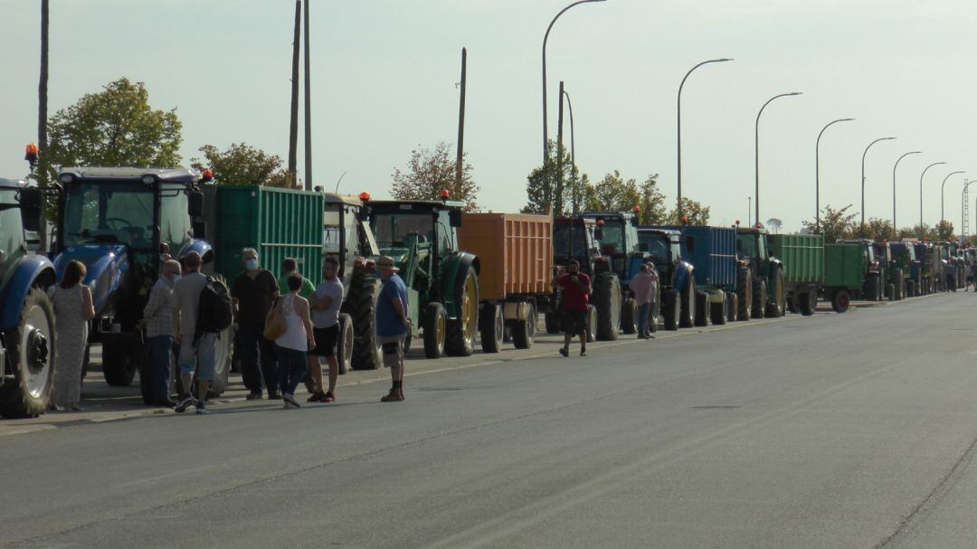 Concentración de tractores en Valdepeñas