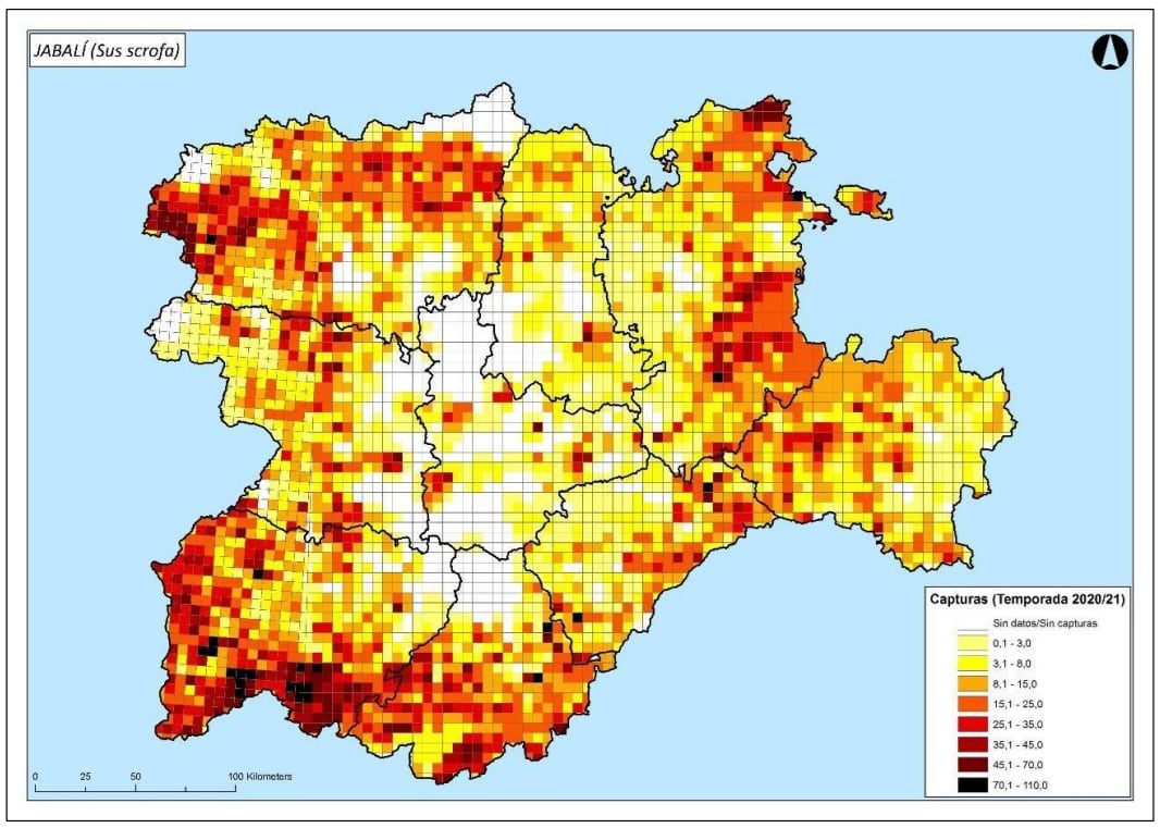 Distribución de capturas de jabalí en cotos de caza en la temporada 2020-2021 | Fuente: BOCYL Junta de Castilla y León