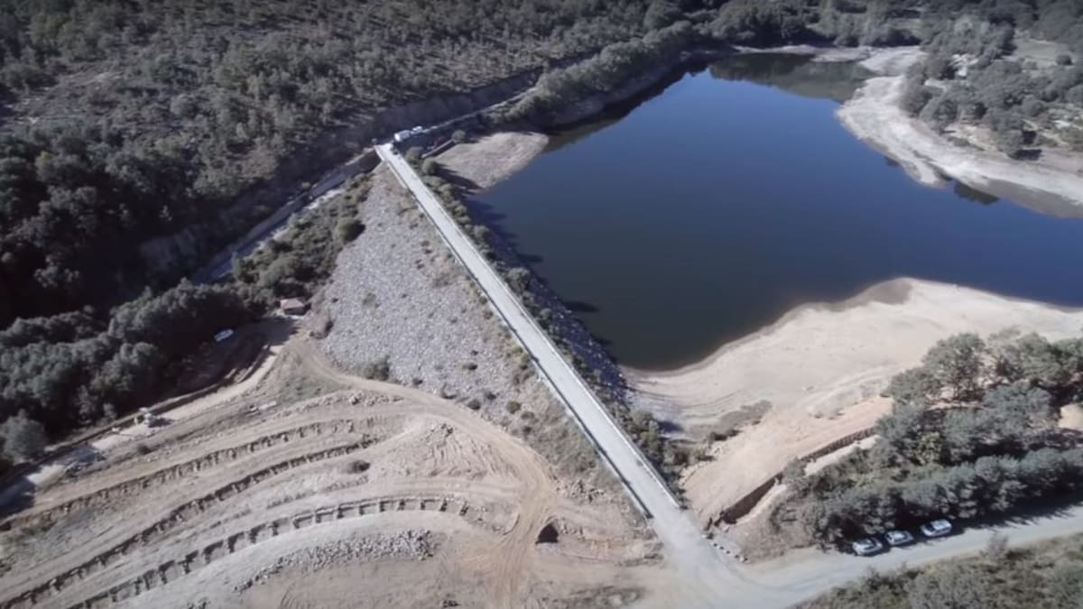 Entrevista con Cristina Danés, presidenta de la CHD