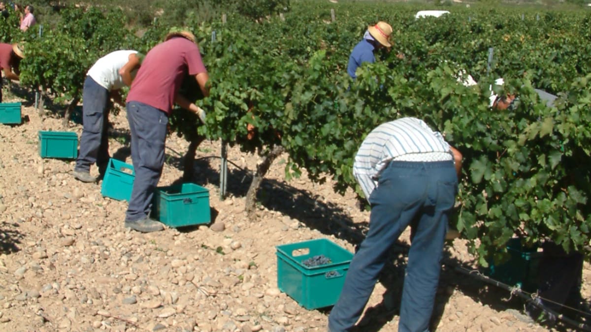 La afiliación de extranjeros a la Seguridad Social subió en mayo en Huesca un 20,17% mensual