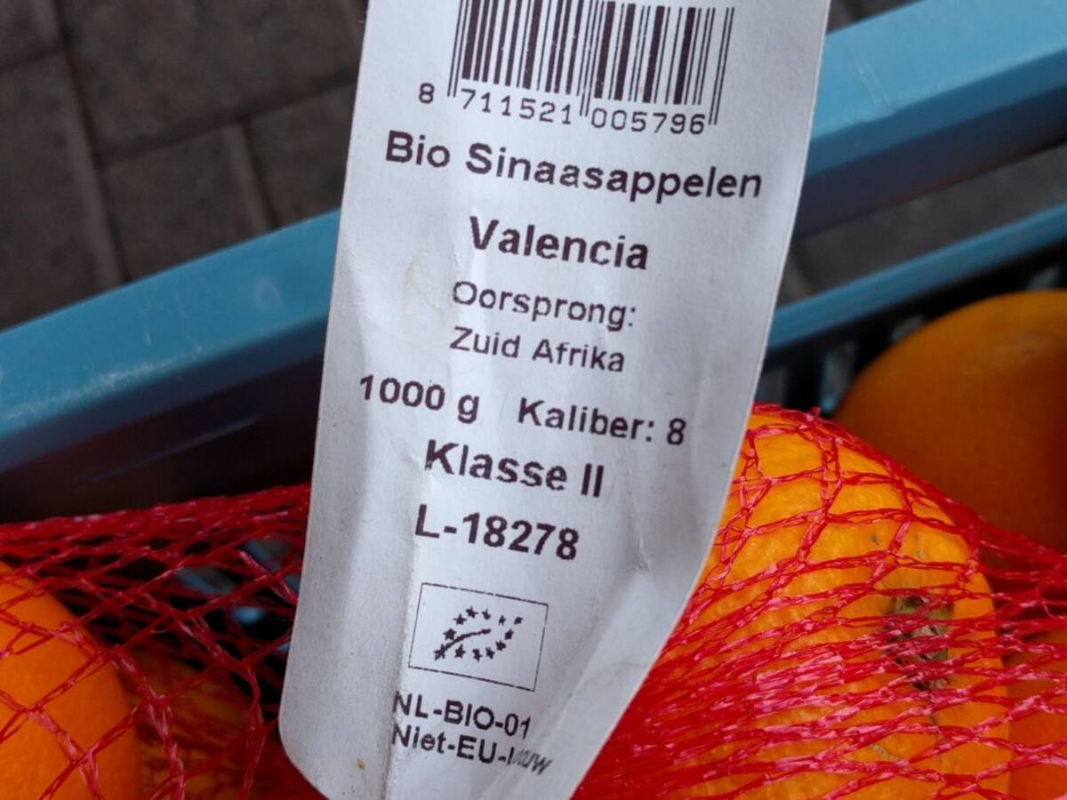 La llavor (27/10/2018)