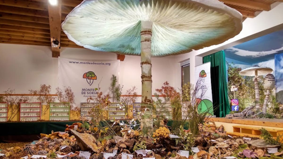 José Antonio Vega (Dtor. Técnico Asoc. Montes de Soria) A la Feria NATURCYL