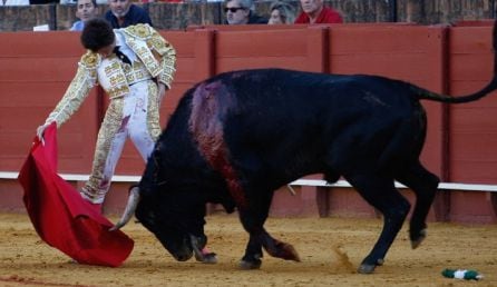 El astigitano Ángel Jiménez, ante el segundo novillo de su lote