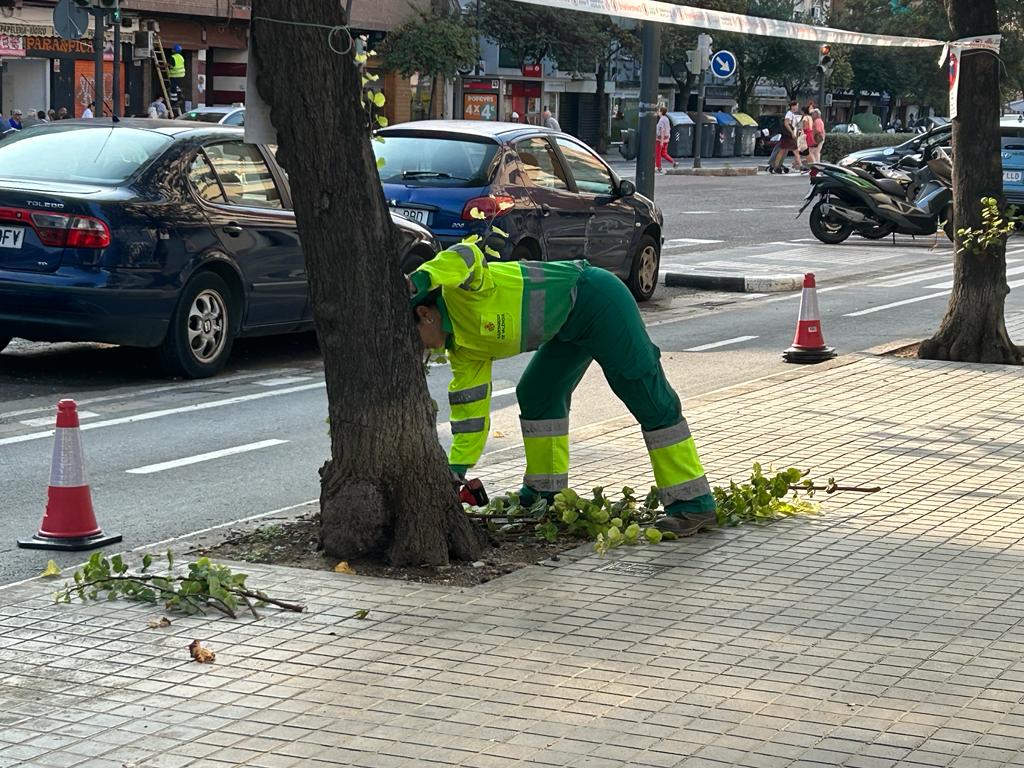 Trabajos en alcorques en la ciudad de València.