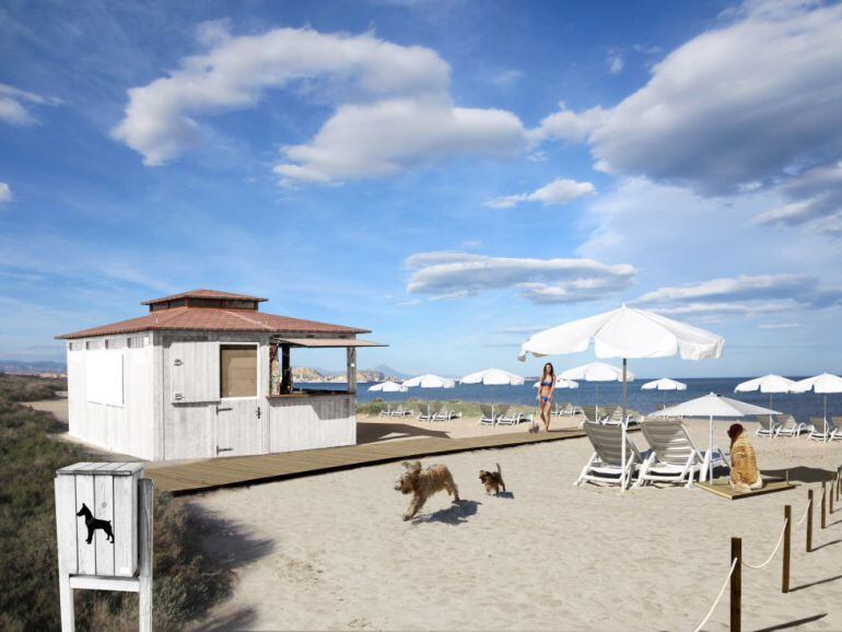 Proyecto de la playa para perros en Agua Amarga