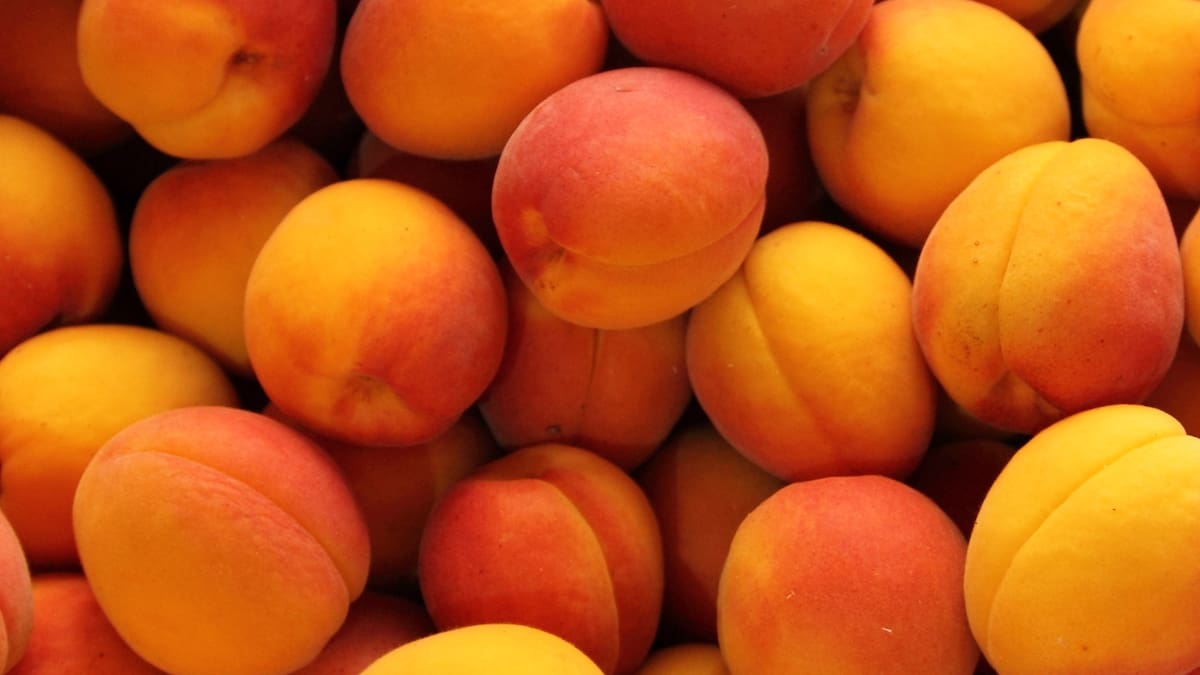 Cocinando sonrisas, con Mireia Ruíz: albaricoques a la plancha