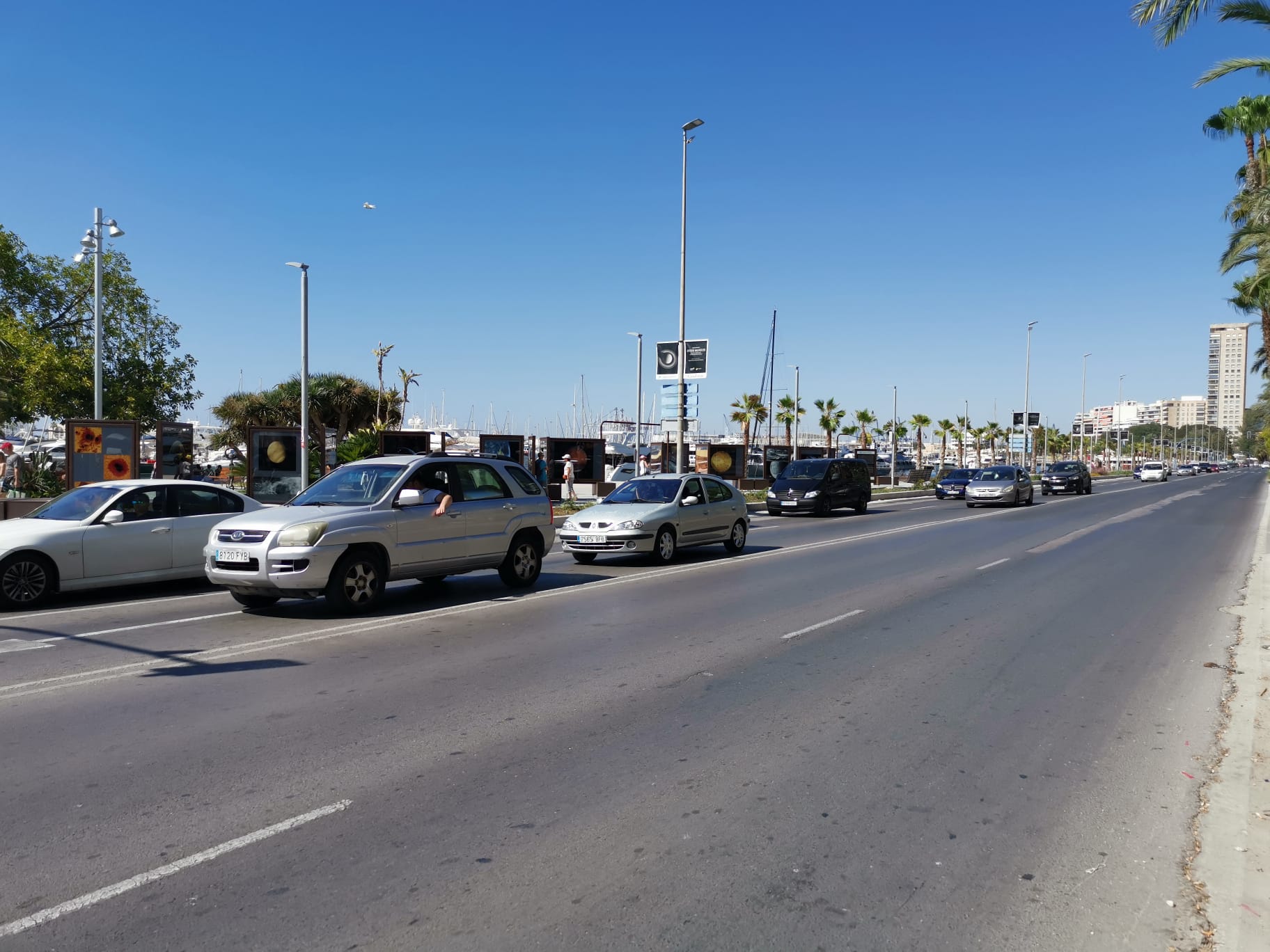 Paseo de los Mártires de la Libertad este domingo. Foto: Daniel Rodríguez