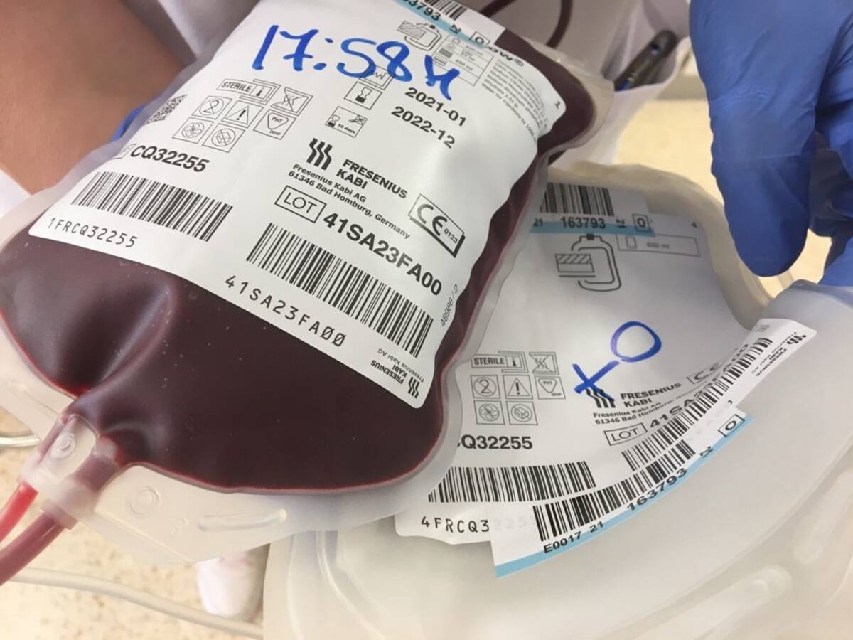 El Banco de Sangre y Tejidos de Baleares busca urgentemente personal para reforzar el servicio en Ibiza