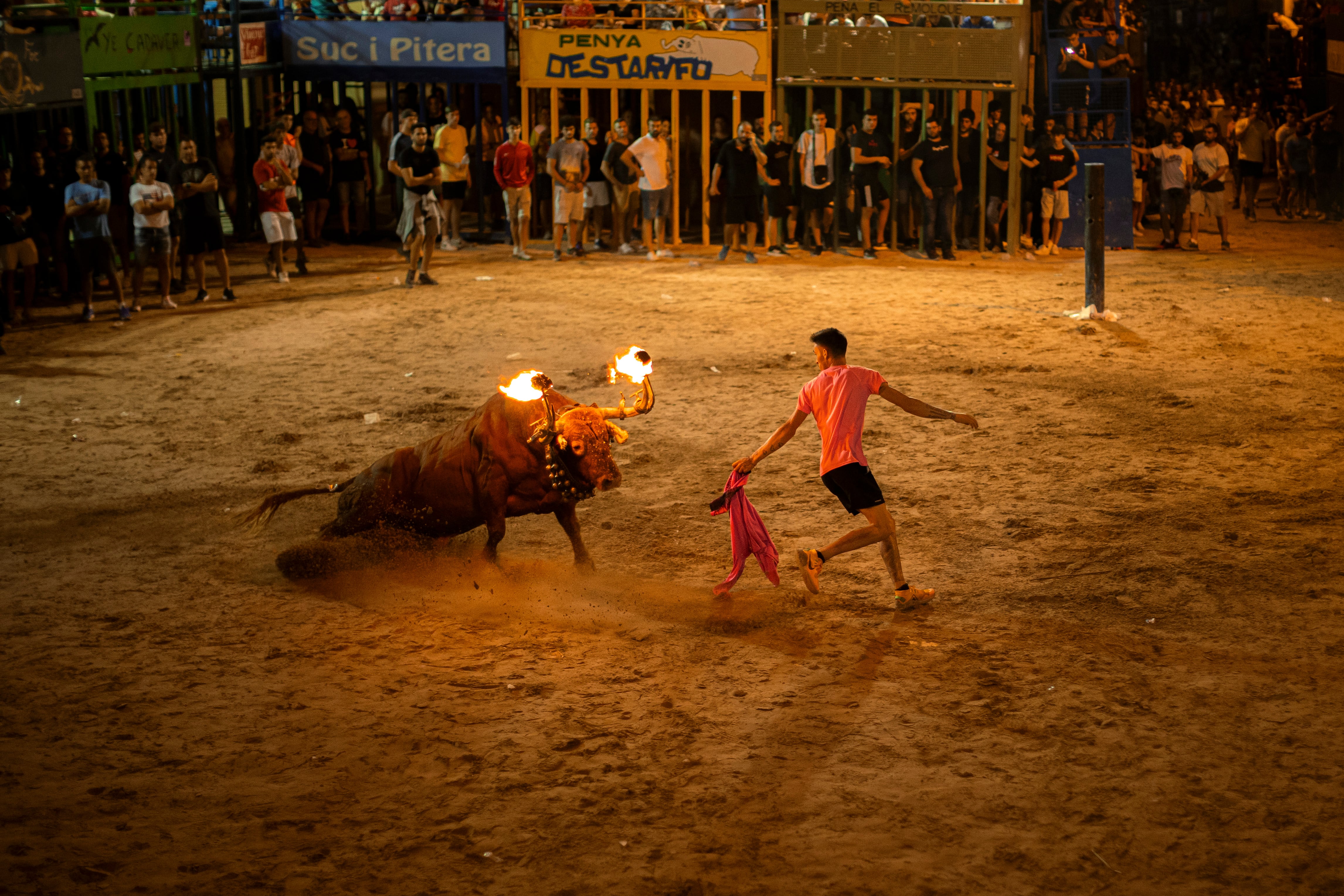 Imagen de archivo de un festejo de &quot;Bou Embolat&quot; en la Comunitat Valenciana