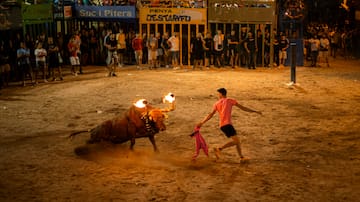 La temporada de 'bous al carrer' podría batir récords en 2023