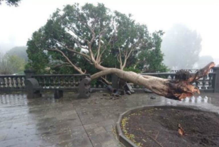 Más de 200 incidencias por la borrasca de viento y lluvia en Canarias