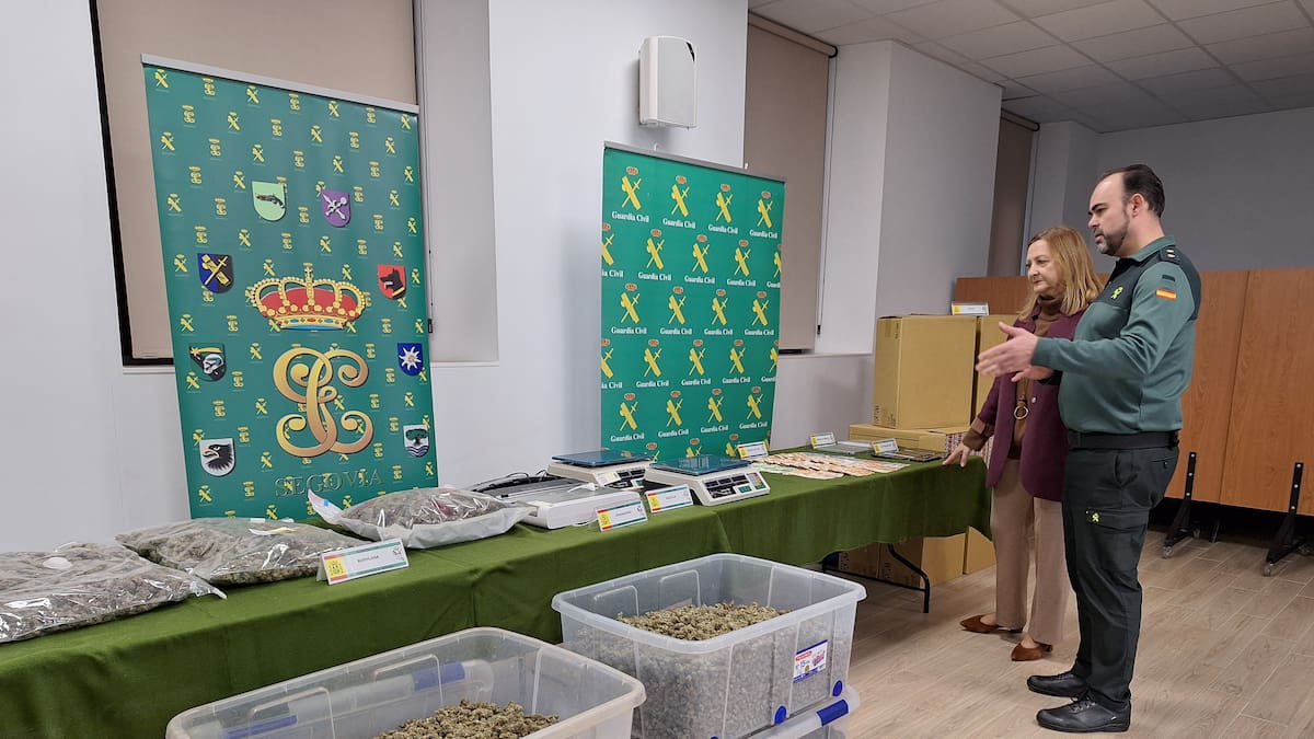 Descubren una nave con miles de plantas de marihuana en San Martín de la Vega