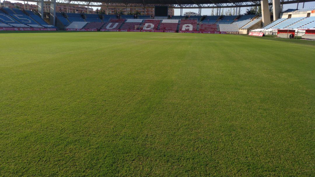 El campo parece otro. 