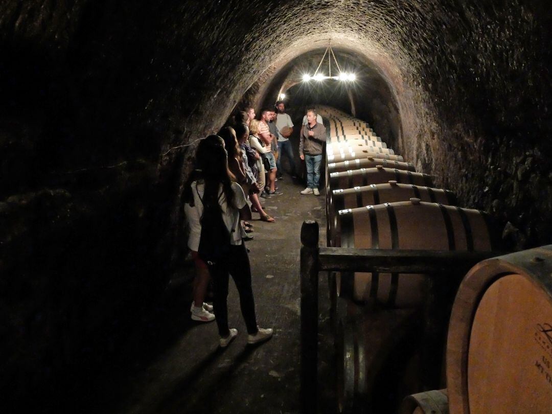 Visita de una de las bodegas subterráneas