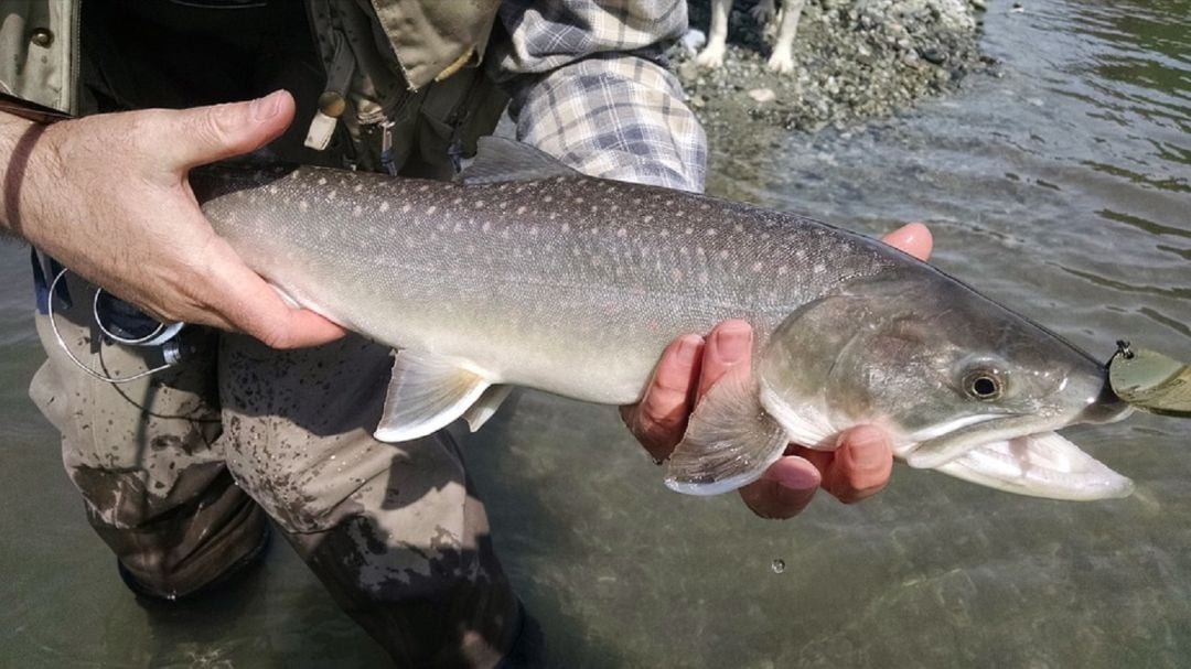 Los lunes no festivos serán inhábiles para la pesca según el nuevo calendario