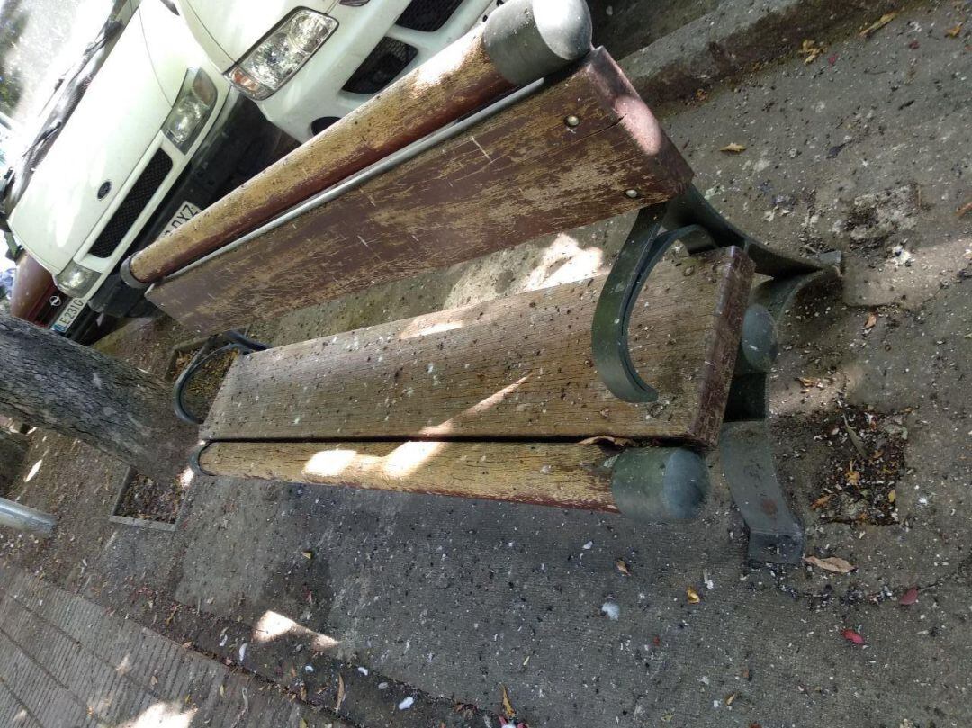 Uno de los bancos de la Condesa con numerosos excrementos de aves