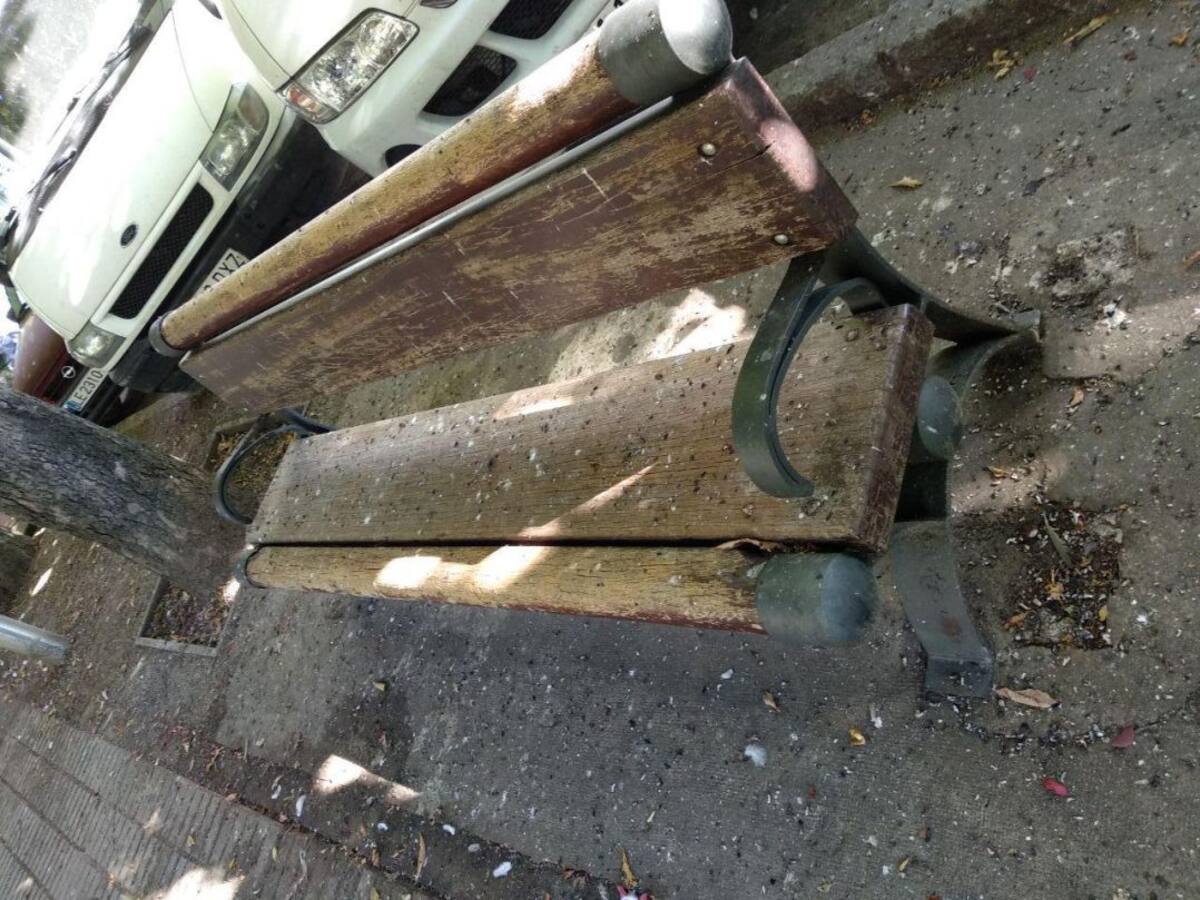 El PSOE critica la "asquerosa" falta de limpieza en el Paseo de la Condesa