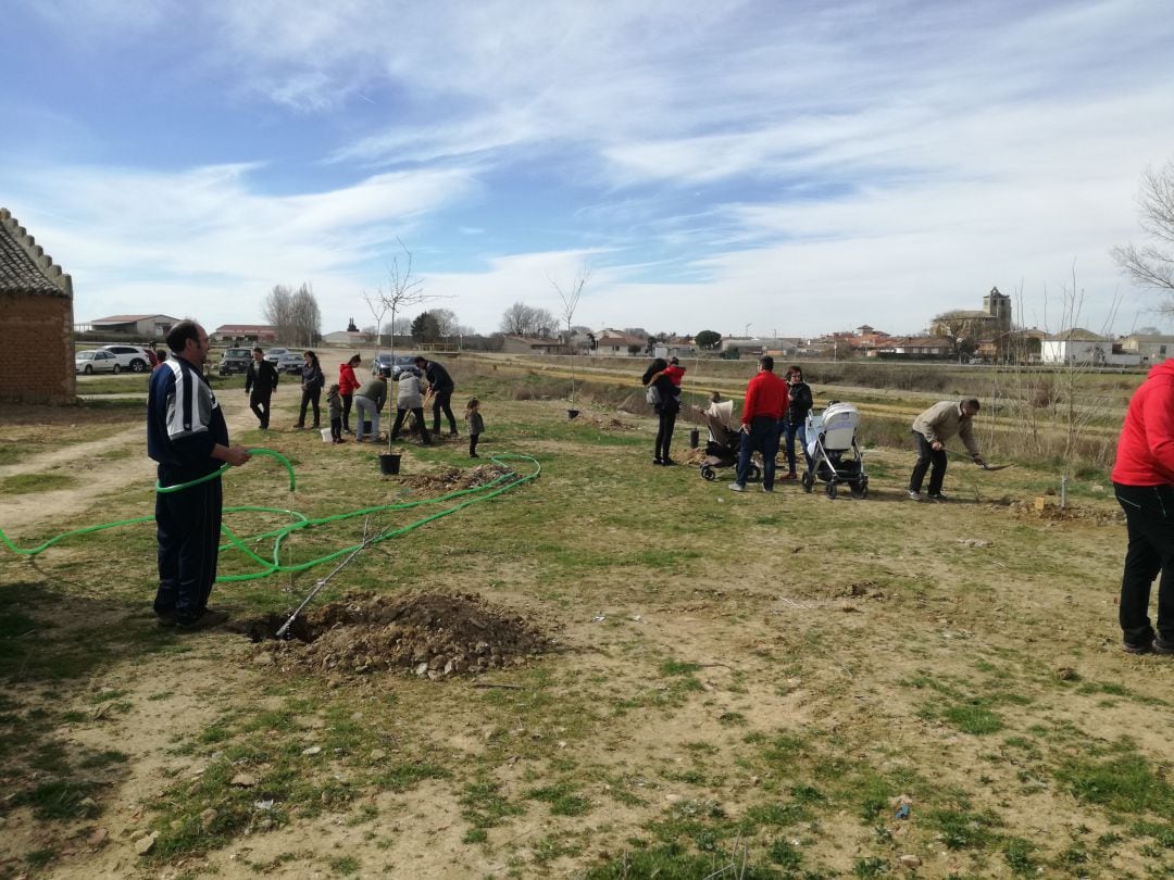 Plantación comunitaria en San Cebrián de Campos (Palencia)