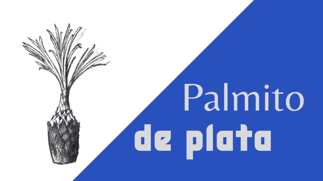 Palmito de Plata