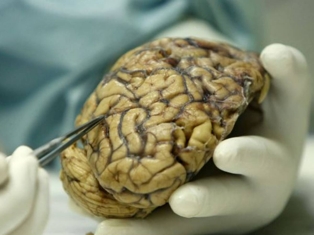 Suben las muertes por enfermedades respiratorias y Alzheimer