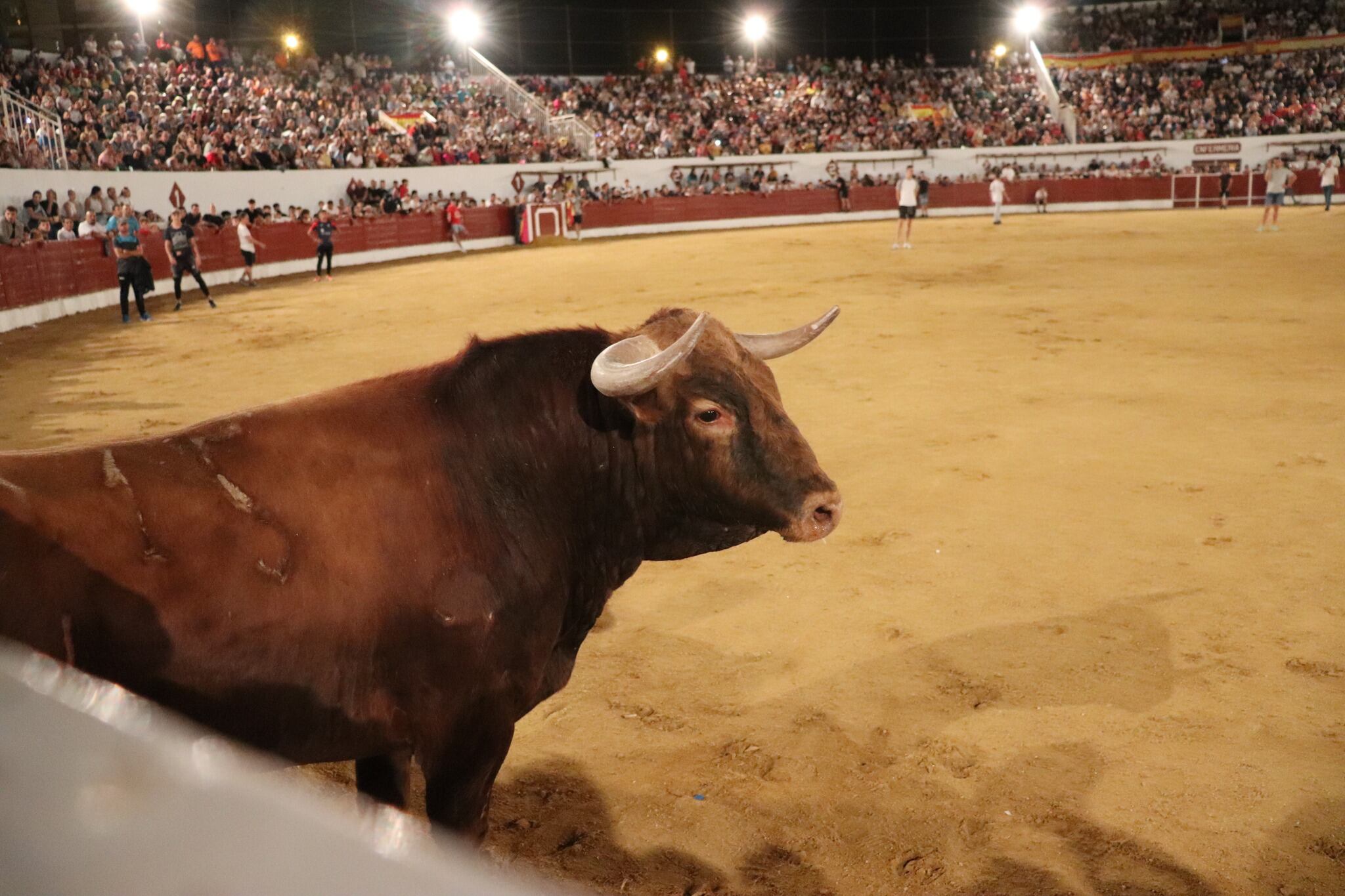 Encierro nocturno en Ciempozuelos