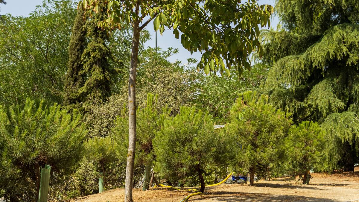 Fuenlabrada amplia el riego con agua regenerada para bajar a la mitad el consumo y su factura