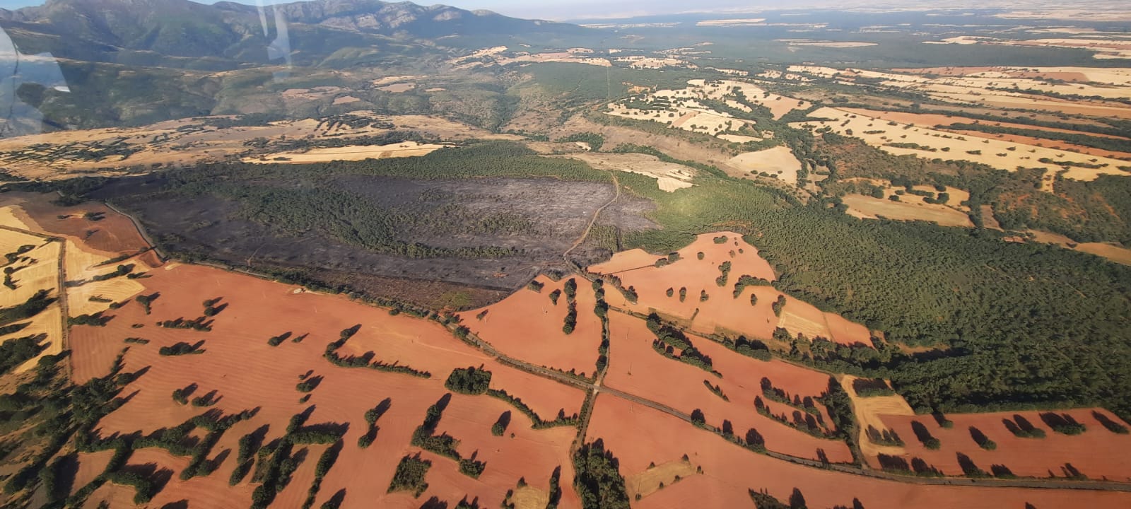 Superficie quemada en el incendio de Becerri (Riaza)