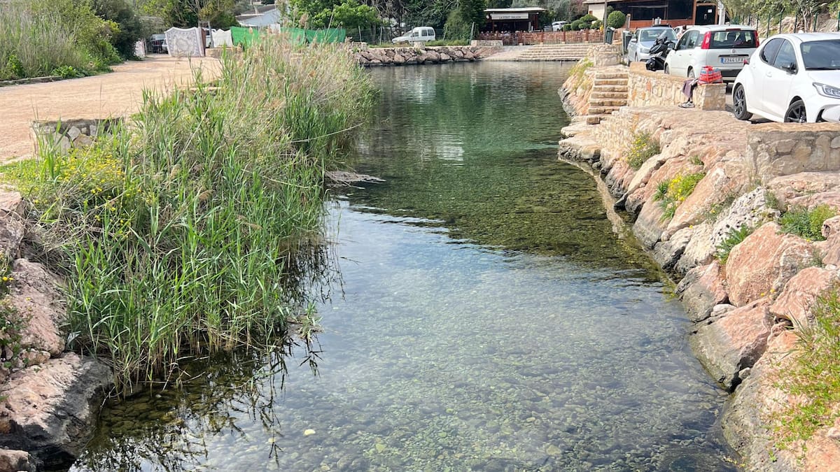 ENTREVISTA MARÍA BERTOMEU