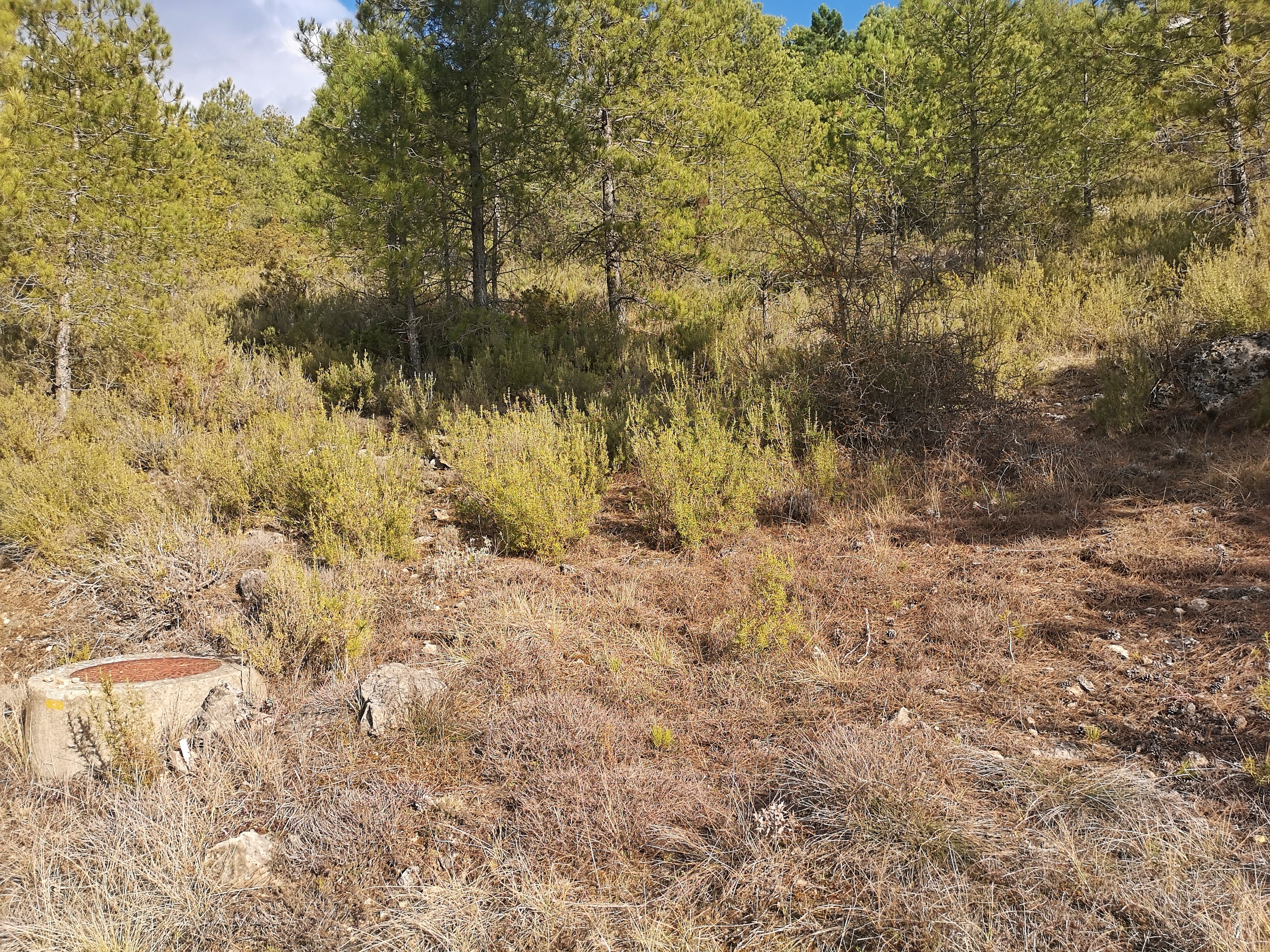 Punto del camino junto a una alcantarrilla en el que nos desviaremos hacia la cueva Enkalafeli.