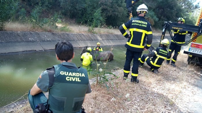 Rescate de la yegua en San Roque