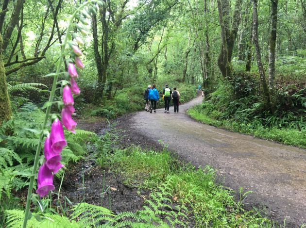 Camino de Santiago