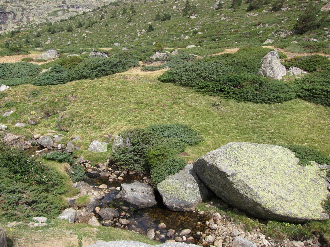 Imagen del parque de Guadarrama.