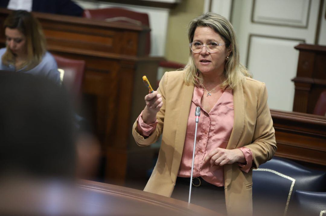 Alicia Vanoostende, consejera de Agricultura, Ganadería y Pesca, durante una intervención en el Parlamento de Canarias. 