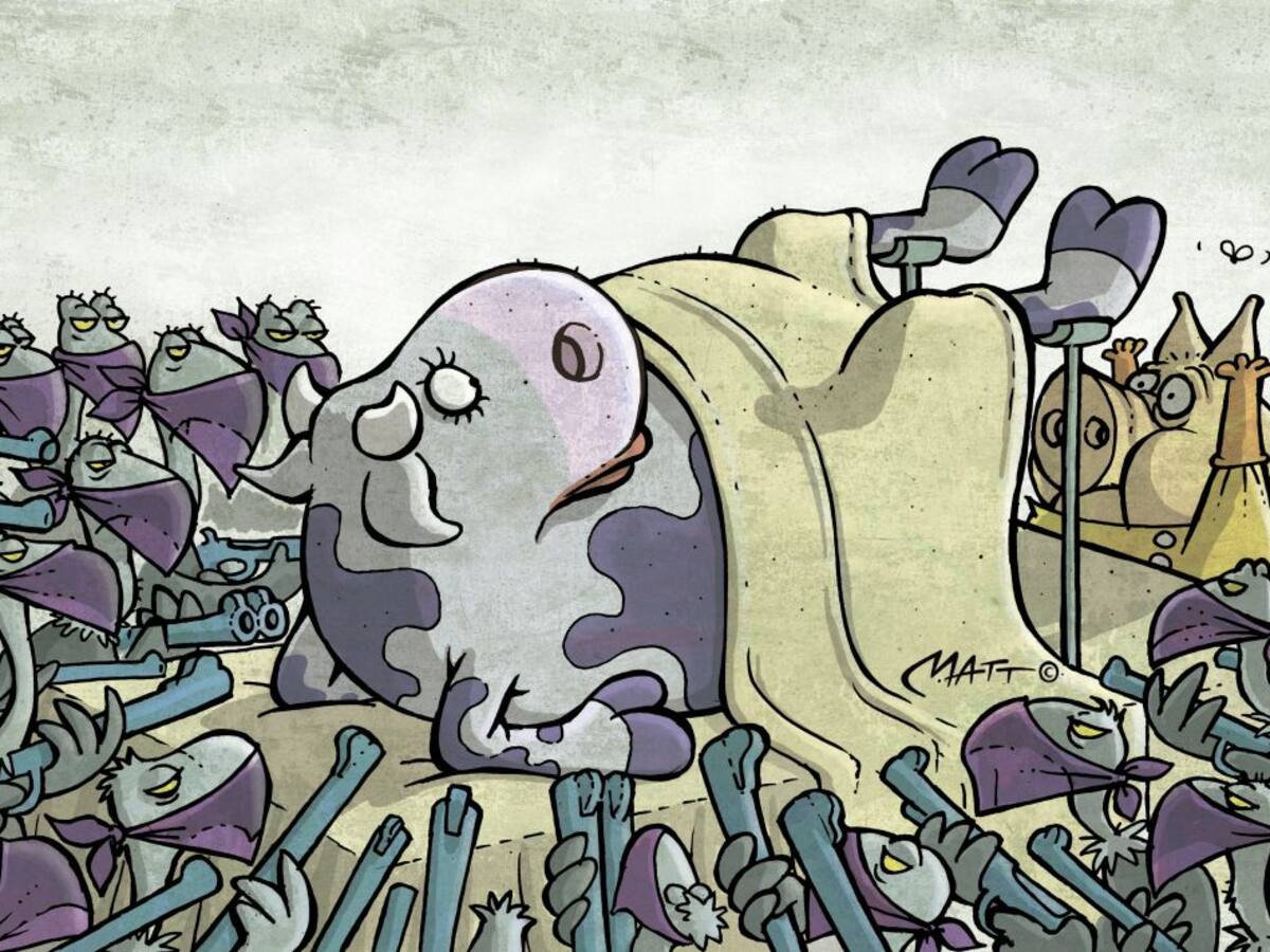 30 buitres atracan a una vaca parturienta